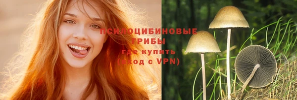 стаф Алексин