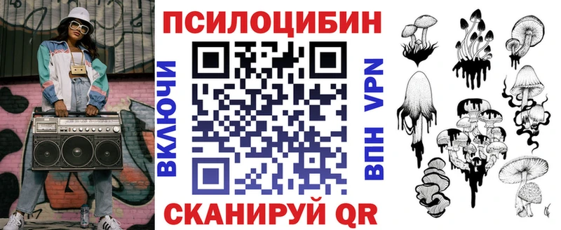 закладки  Пойковский  Псилоцибиновые грибы Psilocybe 